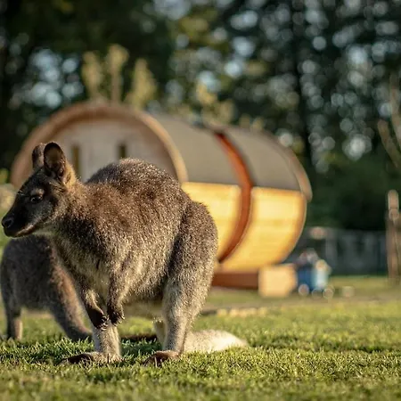 Glamping Im Beheizten Campingfass Auf Leo's Farm Διαμέρισμα Alberthain