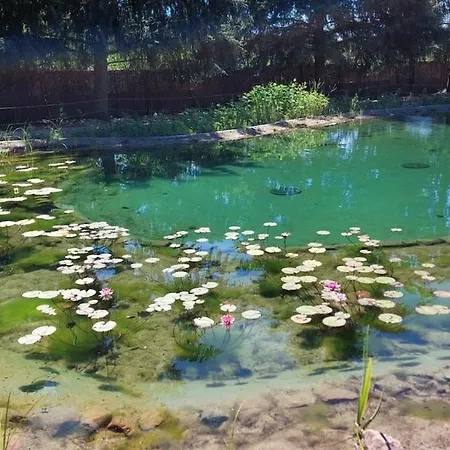 Glamping Im Beheizten Campingfass Auf Leo's Farm Διαμέρισμα *