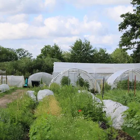 Glamping Im Beheizten Campingfass Auf Leo's Farm Alberthain