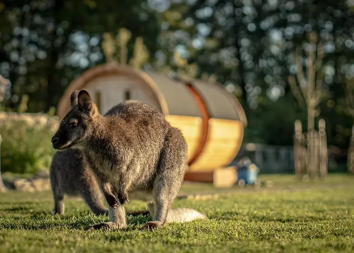 Glamping Im Beheizten Campingfass Auf Leo's Farm شقة Alberthain