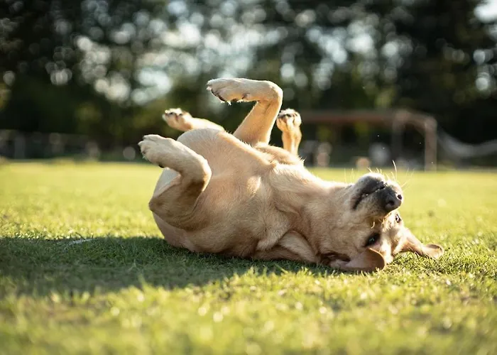 شقة Glamping Im Beheizten Campingfass Auf Leo's Farm