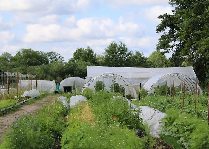 Glamping Im Beheizten Campingfass Auf Leo's Farm Alberthain
