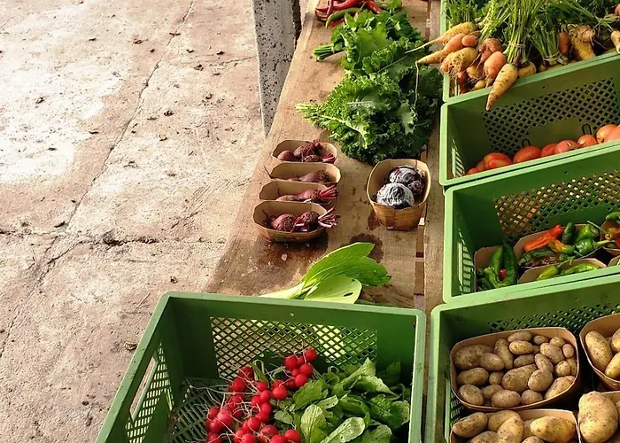 Glamping Im Beheizten Campingfass Auf Leo's Farm شقة