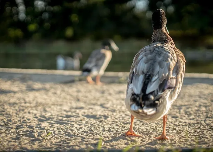 Glamping Im Beheizten Campingfass Auf Leo's Farm